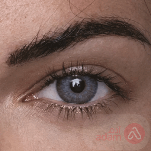 Anesthesia Addict Lenses | Platino